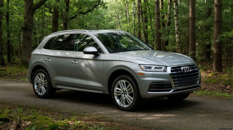 Audi 2019 Q5