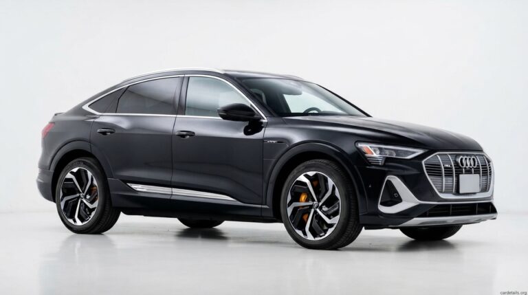 Audi 2021 e-tron Sportback