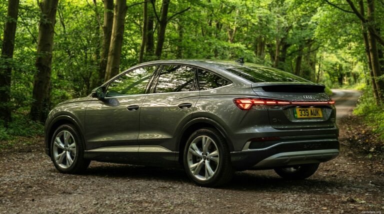 Audi 2024 Q4 55 e-tron quattro