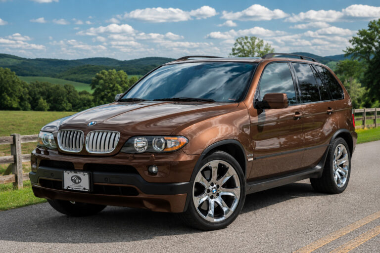 BMW 2004 X5 4.8IS