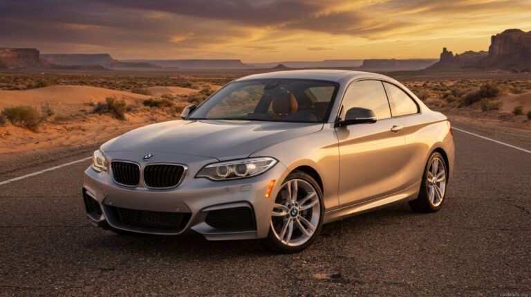 BMW 2016 228i