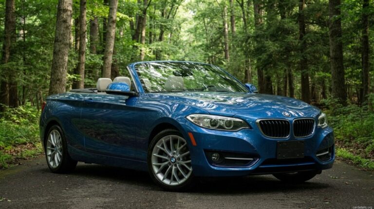 BMW 2016 228i Convertible