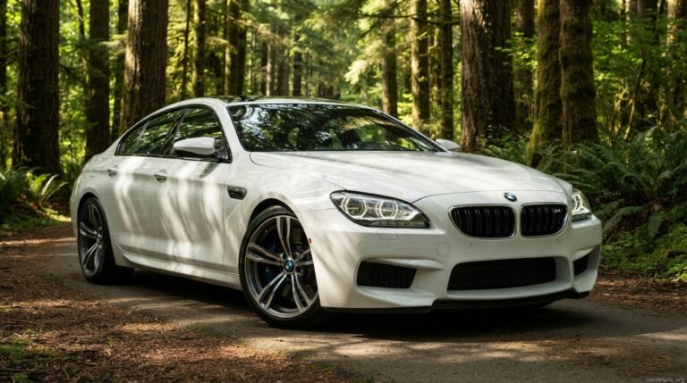 BMW 2016 M6 Gran Coupe