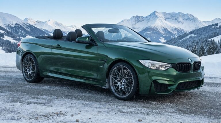 BMW 2017 M4 Convertible