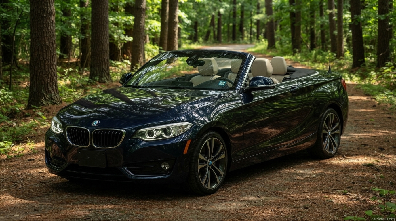 2018 BMW 230i Convertible