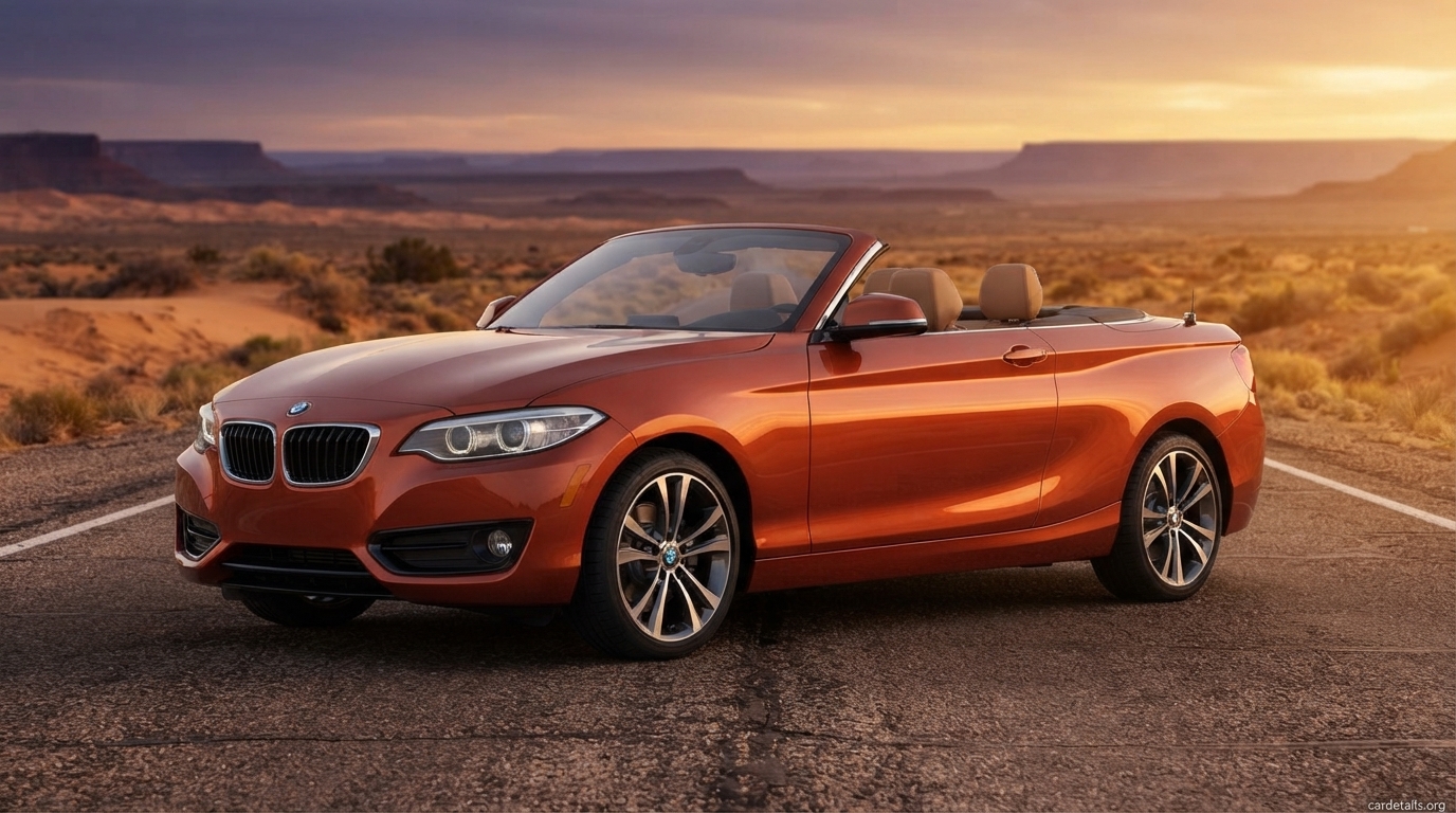 2019 BMW 230i Convertible