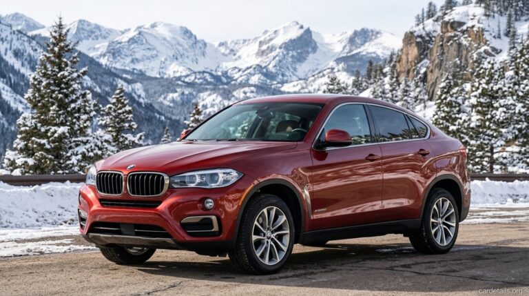 BMW 2019 X6 xDrive35i