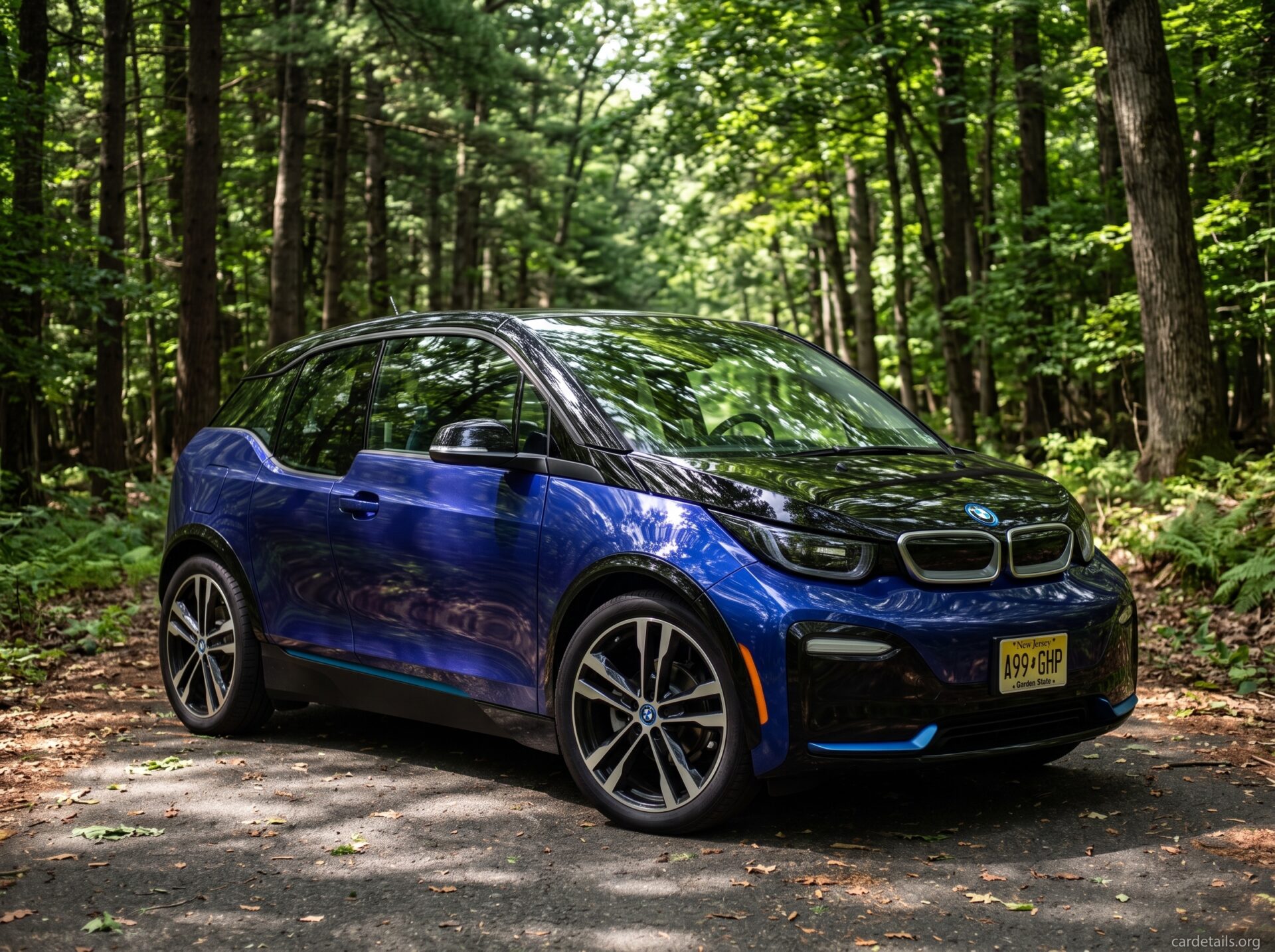 2019 BMW i3s
