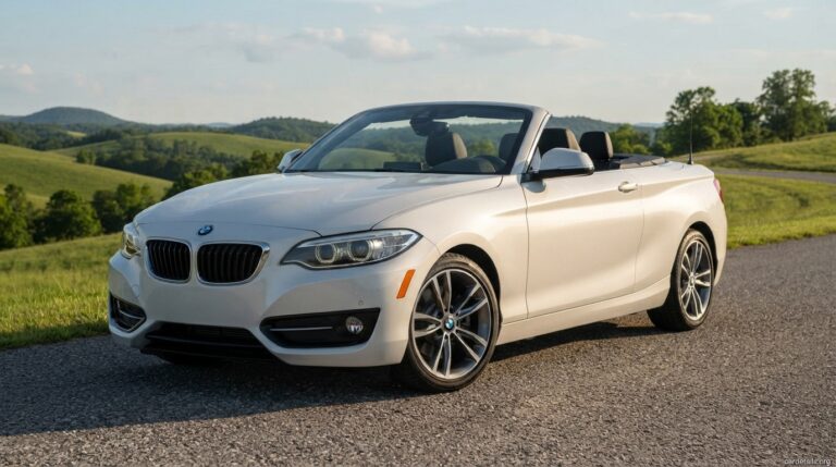 BMW 2020 230i Convertible
