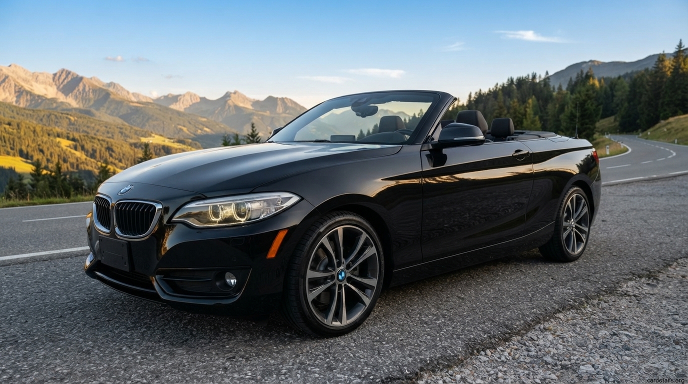 2021 BMW 230i Convertible