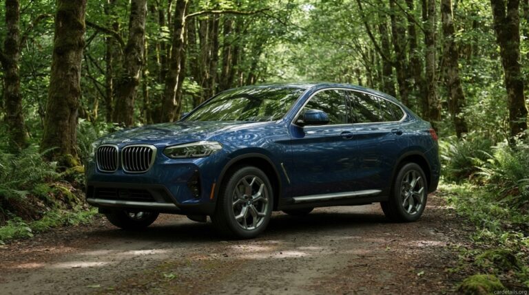 BMW 2023 X4 xDrive30i