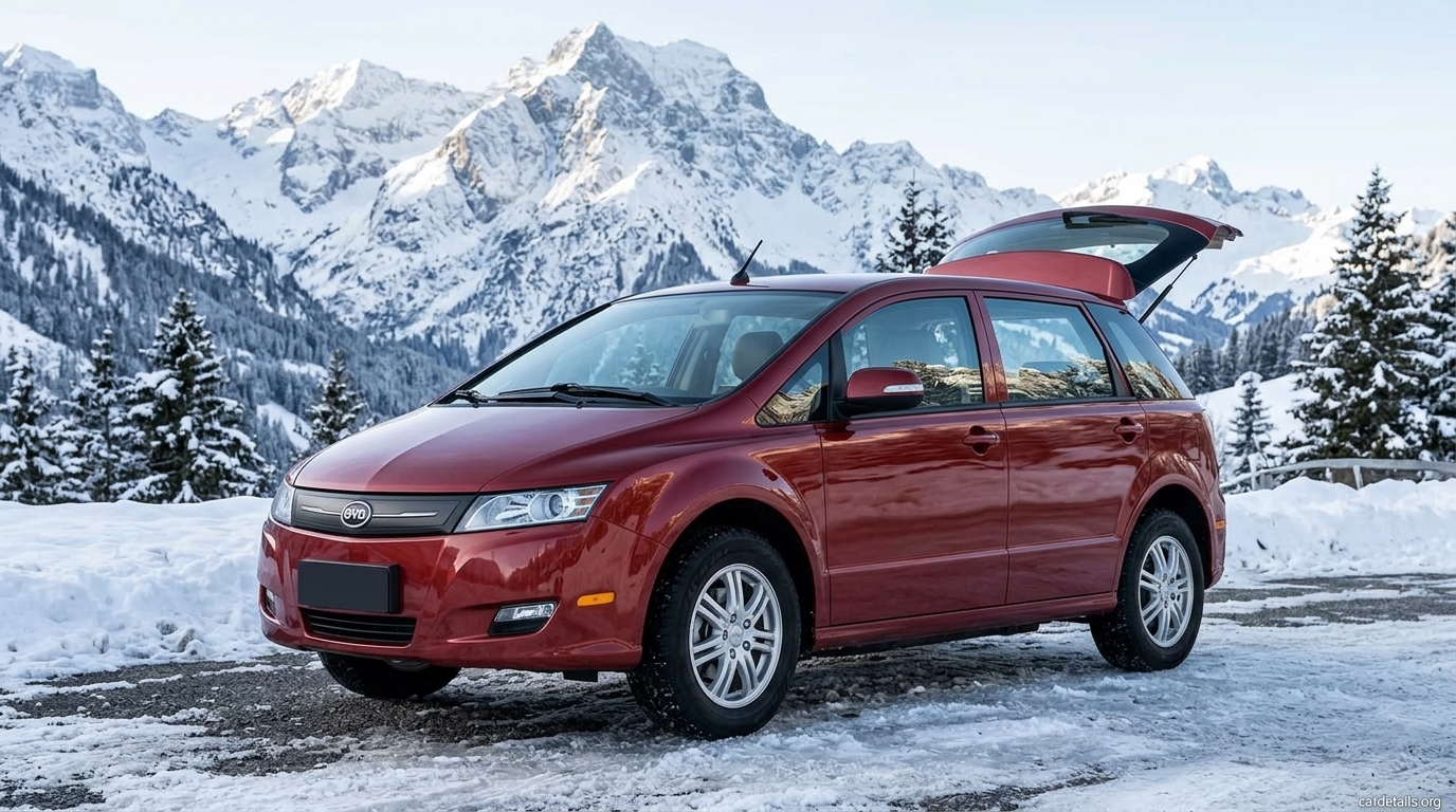 2010 BYD e6