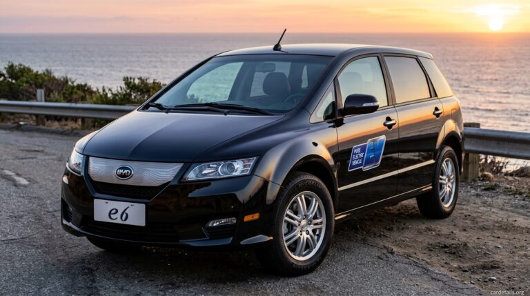BYD 2011 e6 Standard