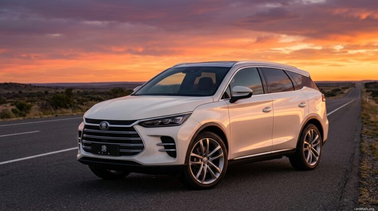 BYD 2018 Tang DM-i