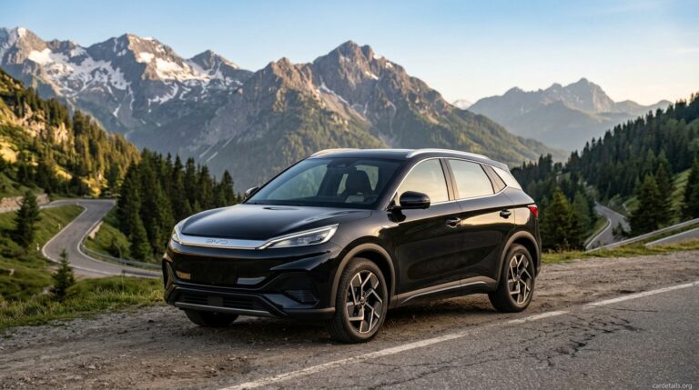 BYD 2019 Yuan Plus EV