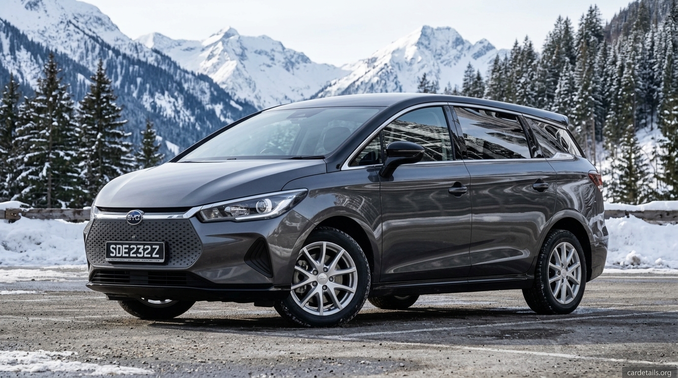 2020 BYD e6