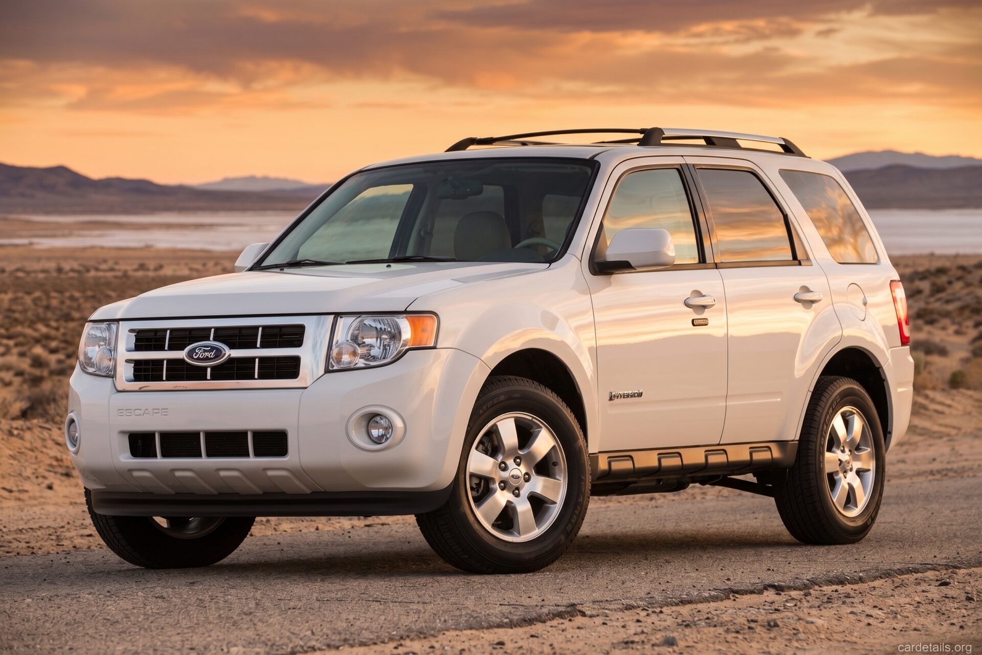 2010 Ford Escape FWD FFV