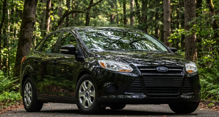 Ford 2013 Focus SFE FWD FFV