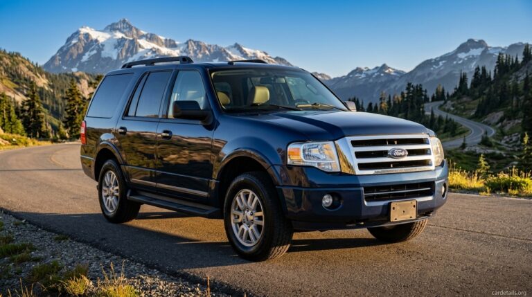 Ford 2011 Expedition 2WD FFV