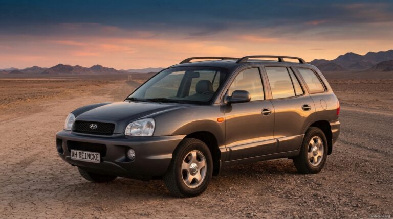 Hyundai 2003 Santa Fe 2WD