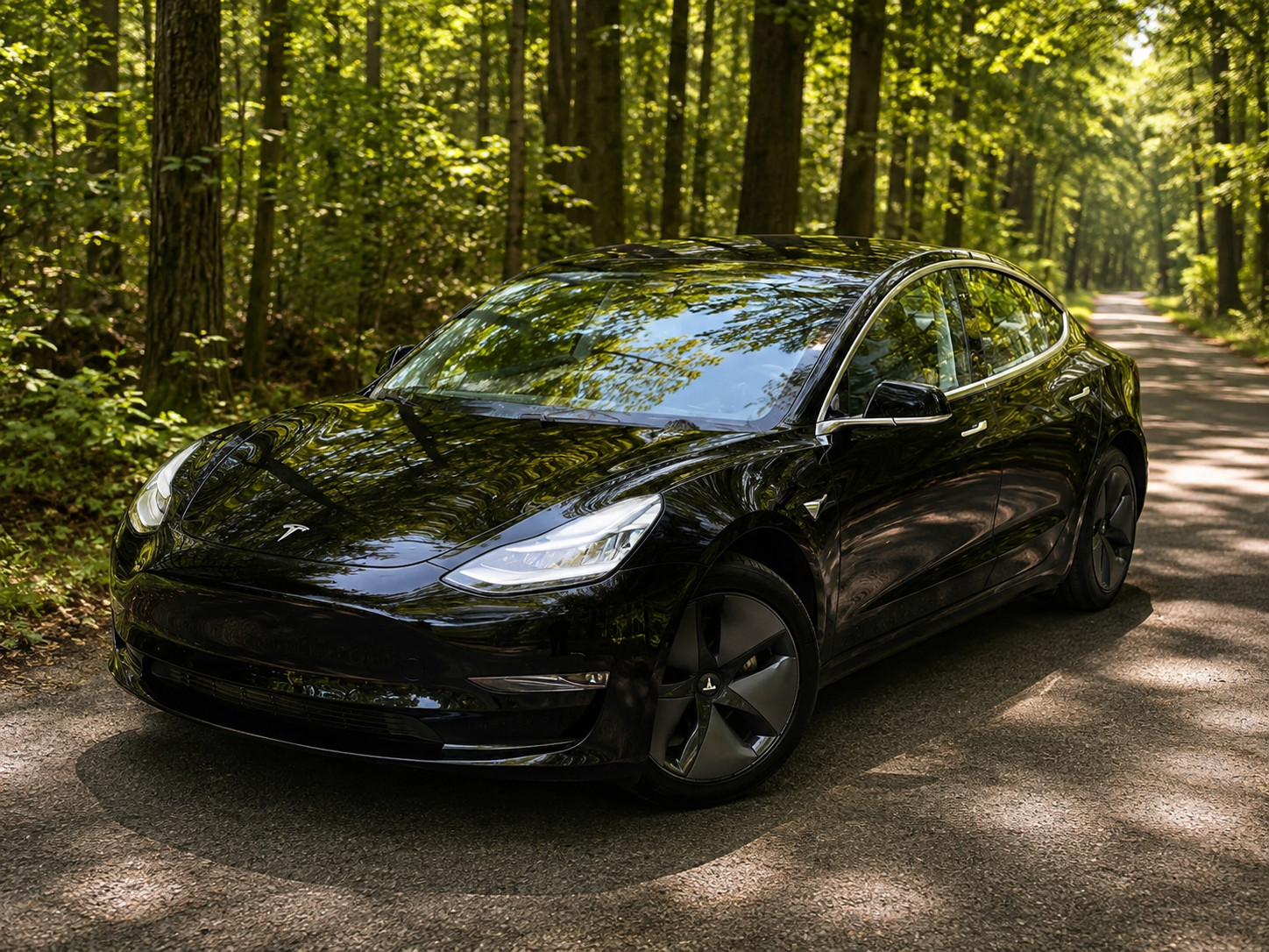 2017 Tesla Model 3 Long Range