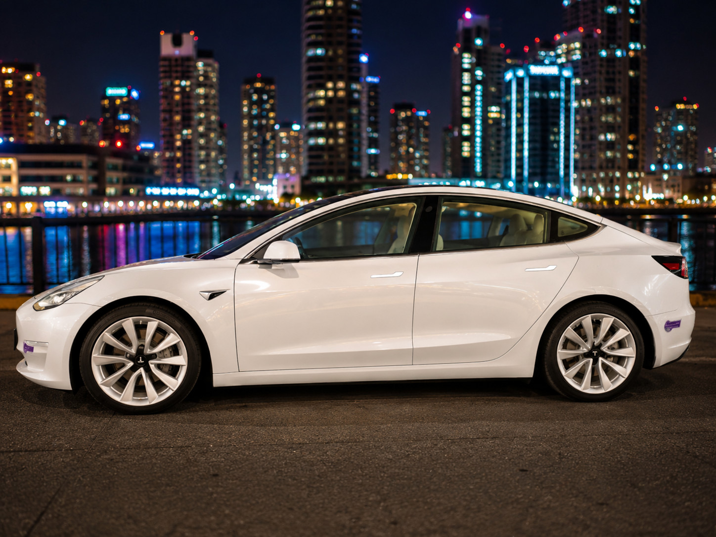 2019 Tesla Model 3 Standard Range Plus