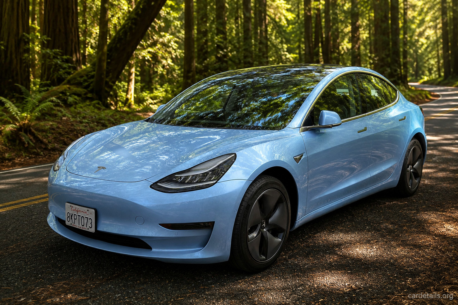 2019 Tesla Model 3 Standard Range
