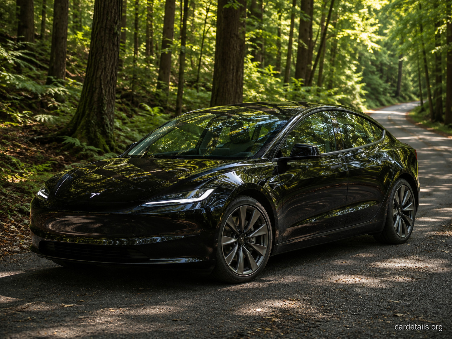 2025 Tesla Model 3 Performance AWD