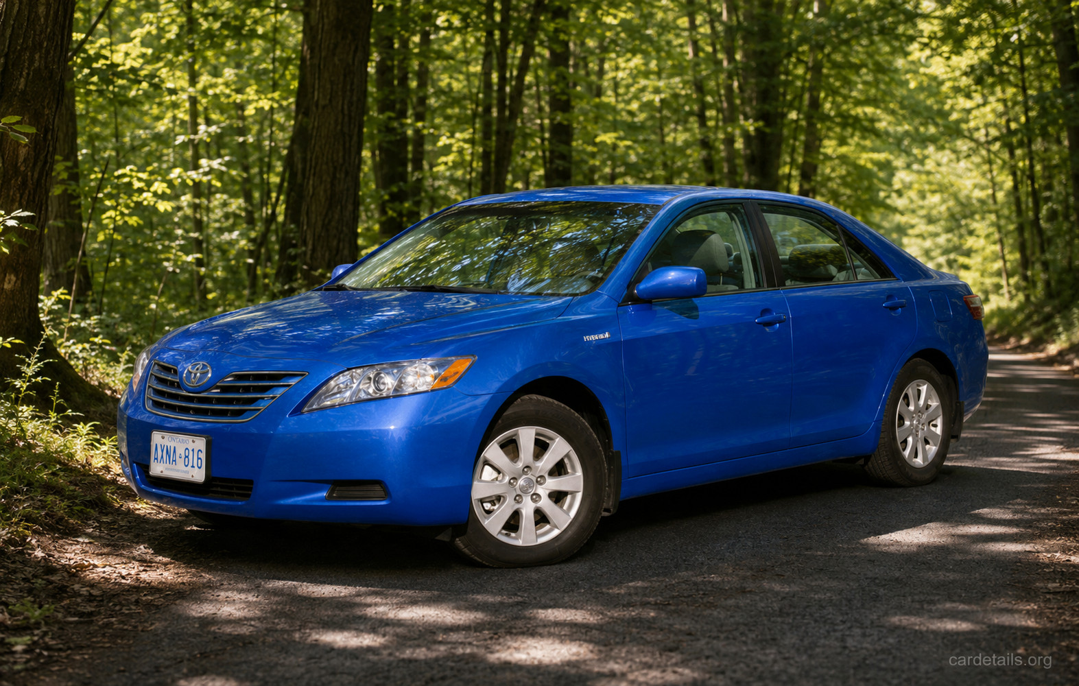 2009 Toyota Camry