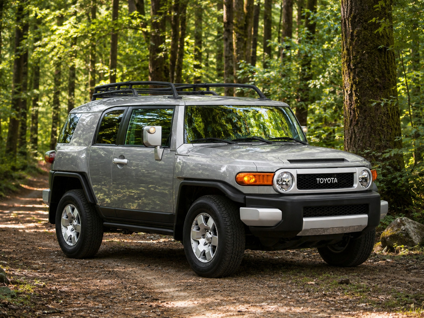 2009 Toyota FJ Cruiser 2WD