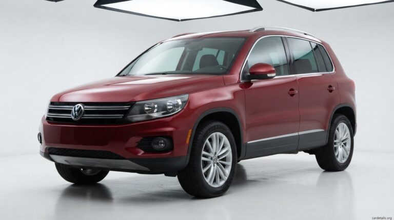 Volkswagen 2013 Tiguan
