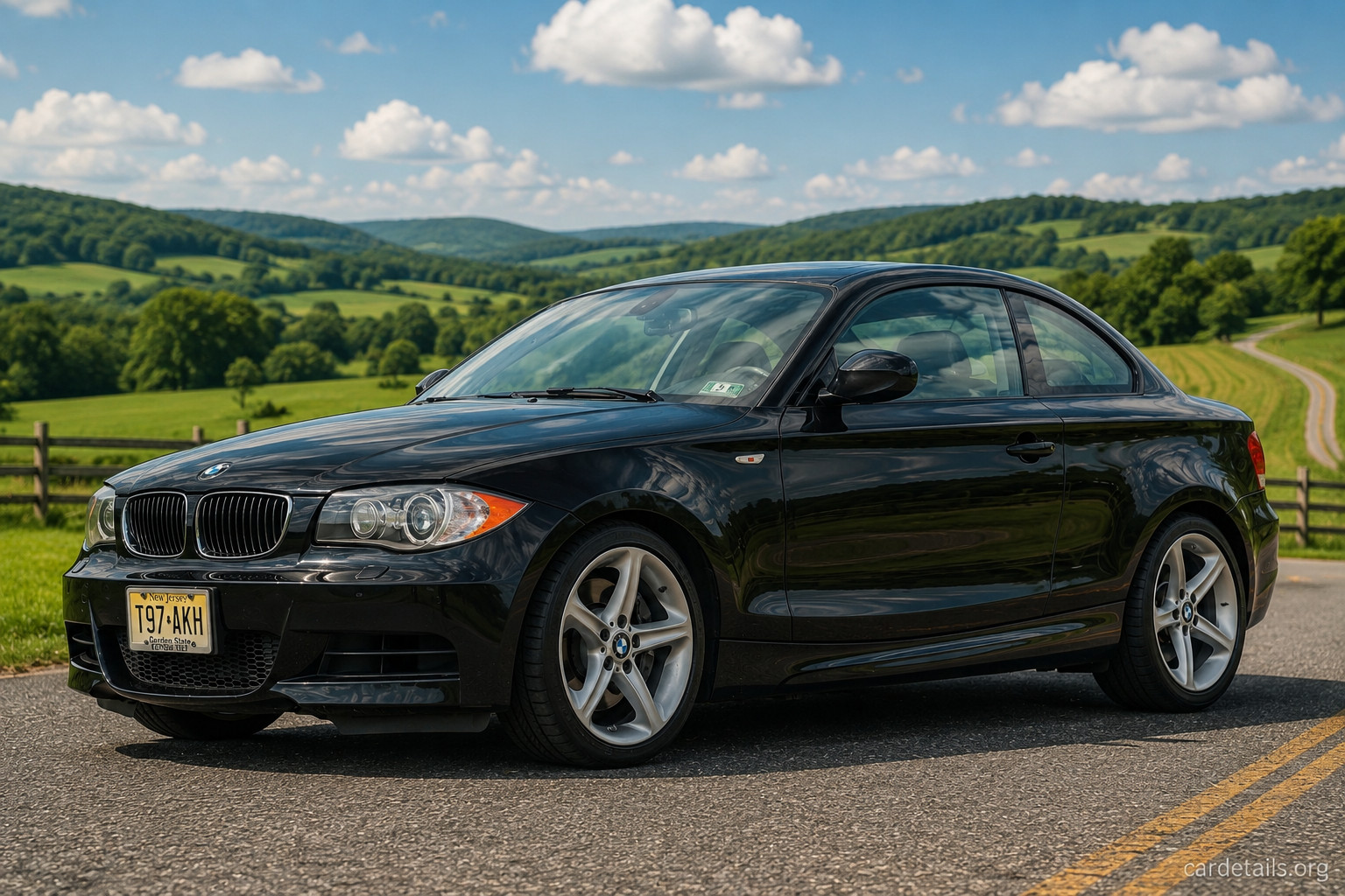 2010 BMW 135i