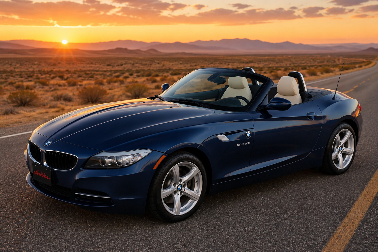 2010 BMW Z4 sDrive30i