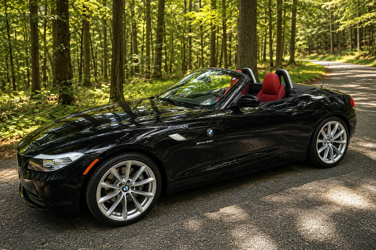 2010 BMW Z4 sDrive35i