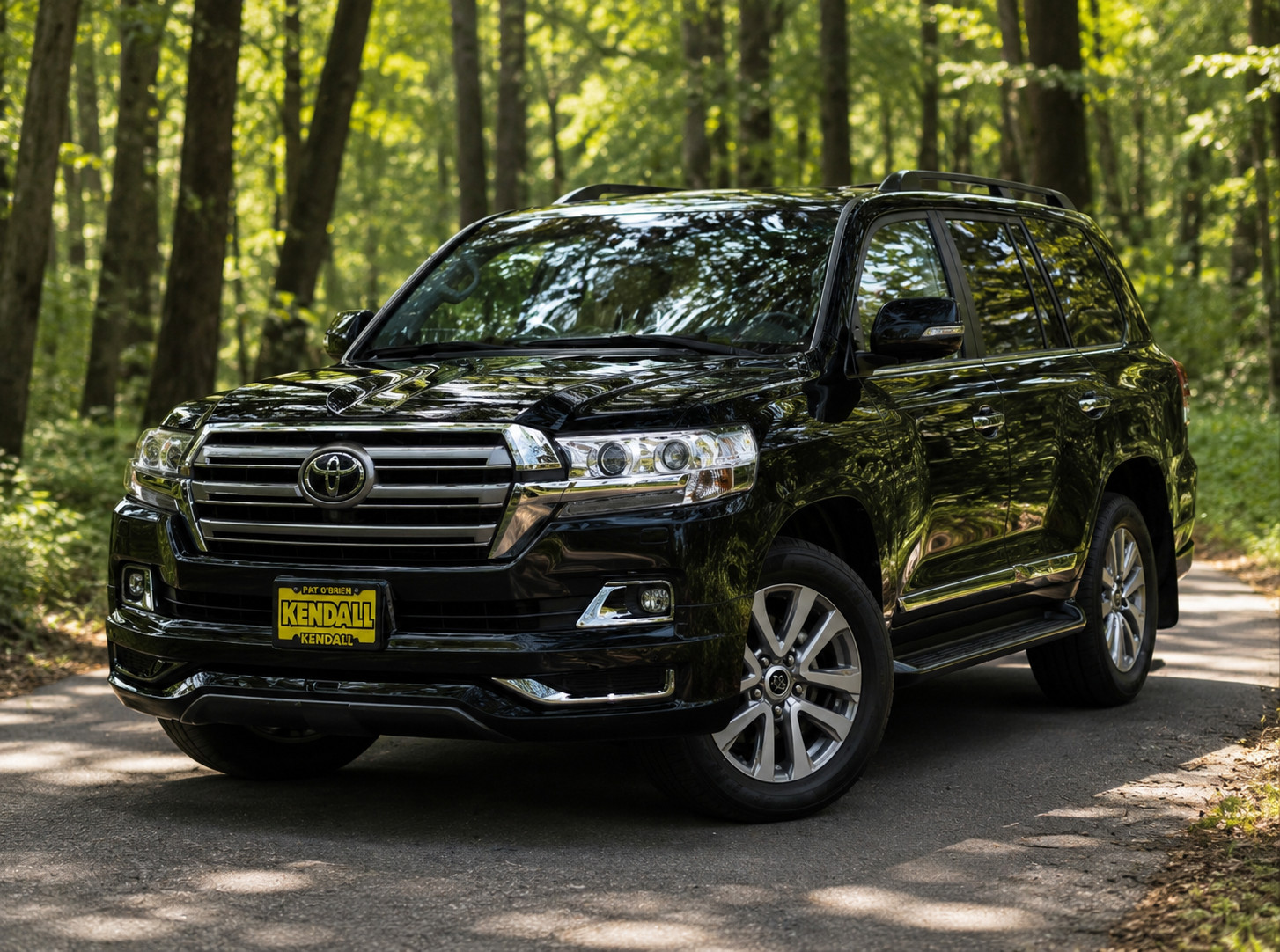 2019 Toyota Land Cruiser Wagon 4WD